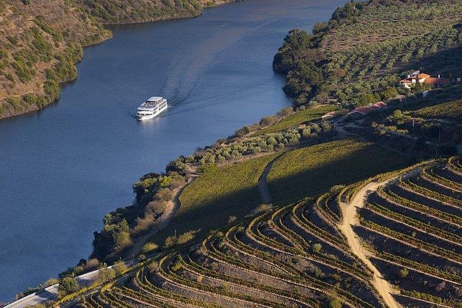 Douro Valley Cruise Porto to Pinhão: Breakfast, Lunch and Tasting - Porto to Pinhão by river, a slow introduction to the Douro