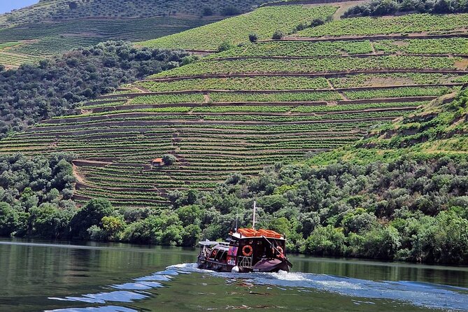 Douro Valley-Expert Guide-Boat-Lunch-Tastings-Offer wine bottle - Why the Douro Valley Makes a Fine Day Trip from Porto