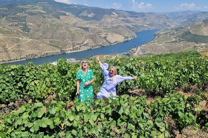 Douro Valley-Expert Guide-Boat-Lunch-Tastings-Offer wine bottle - Is the $216.59 Price Good Value?