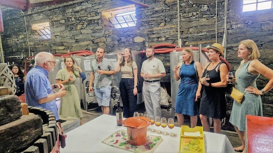 Douro Valley-Expert Guide-Boat-Lunch-Tastings PremiumService - Why this Douro Valley day trip costs more
