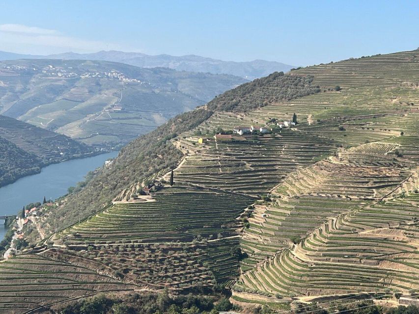 Douro Valley-Expert Guide-Boat-Lunch-Tastings PremiumService - The return route and final valley views