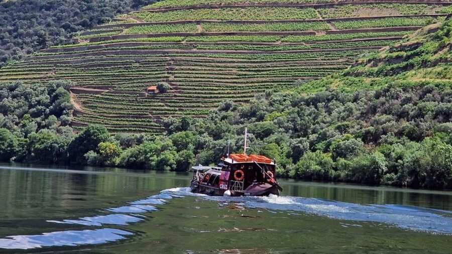 Douro Valley-Expert Guide-Boat-Lunch-Tastings PremiumService - Leaving Porto for the Douro