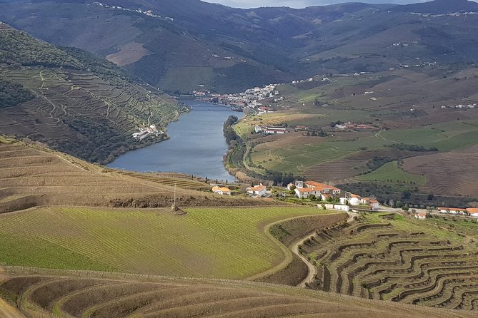 Douro Valley Tour: 2 Vineyard Visits, River Cruise, Winery Lunch - What makes this Douro Valley tour worth considering