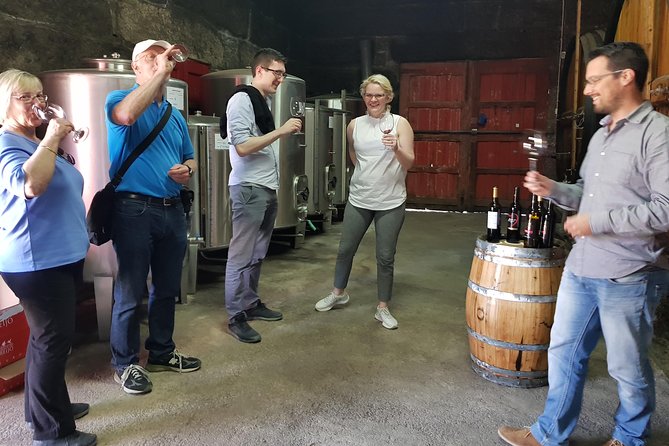 Douro Valley Tour: 2 Vineyard Visits, River Cruise, Winery Lunch - First stop near Lamego: a small producer with big views