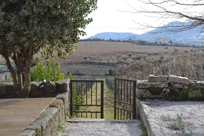 Douro Valley Tour: 2 Vineyard Visits, River Cruise, Winery Lunch - Pinhão and the short Rabelo boat cruise