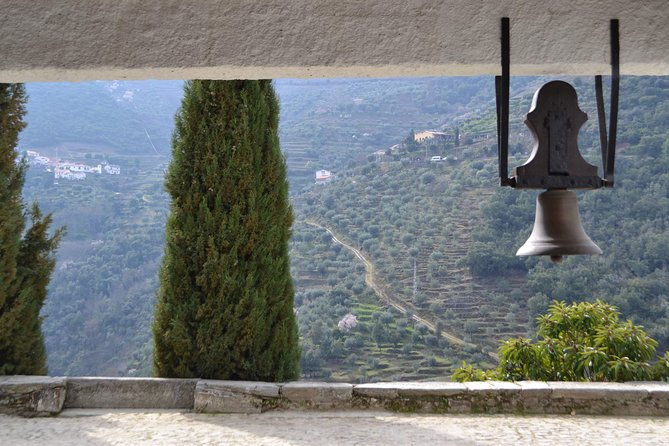 Douro Valley Tour: 2 Vineyard Visits, River Cruise, Winery Lunch - Group size, vehicle comfort, and private options