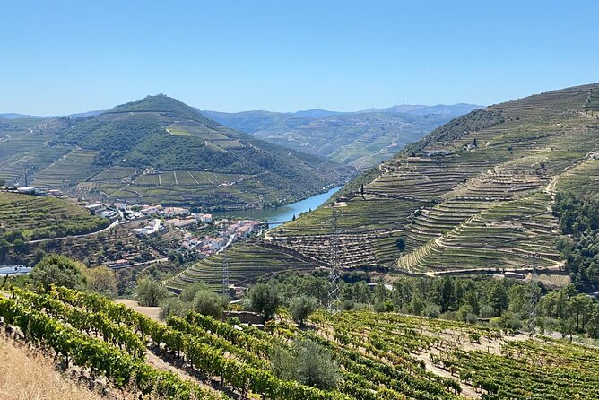 Douro Valley Tour - 3 Wine tastings, Lunch & river Cruise - Lunch in Sabrosa at a family wine producer
