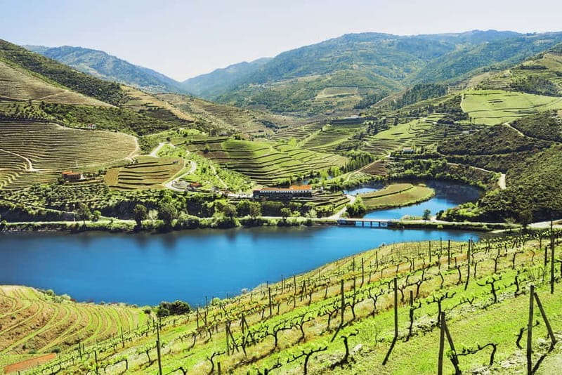 Douro Valley Tour: Visit 2 Wineries, Lunch & River Cruise - The road east: history, hills, and photo stops
