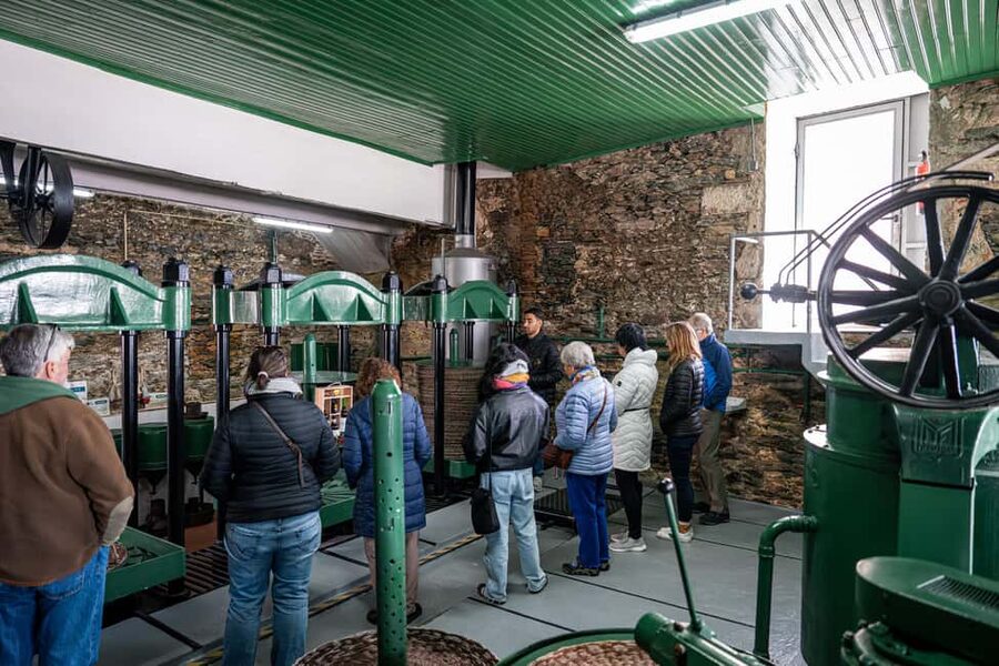 Douro Valley Tour: Visit 2 Wineries, Lunch & River Cruise - First winery: a useful introduction to Douro wine