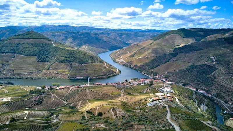 Douro Valley Tour: Visit 2 Wineries, Lunch & River Cruise - Returning to Porto along the N222