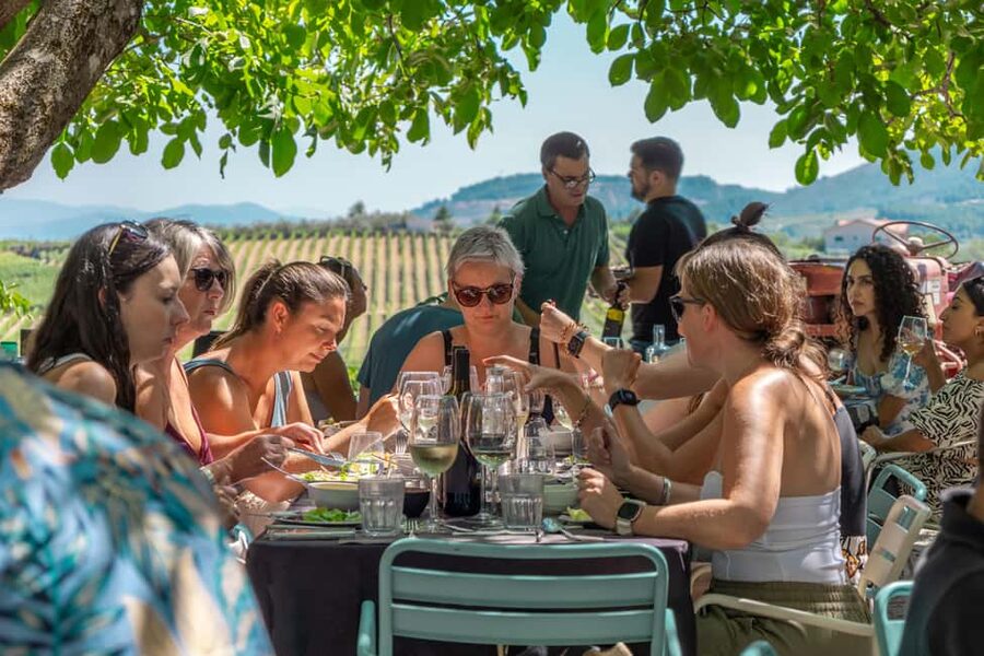 Douro Valley: Wine Tour with Lunch, Tastings & River Cruise - Lunch with vineyard views is the day’s anchor