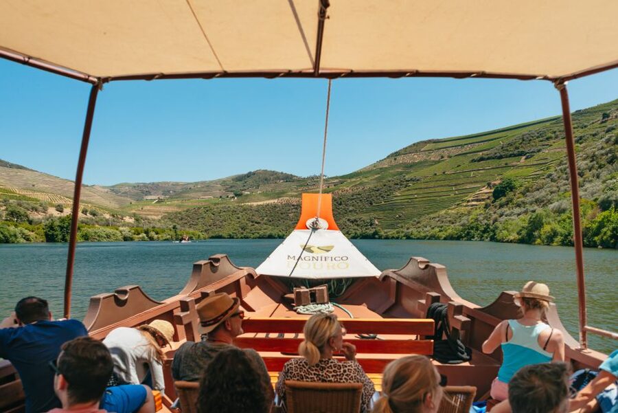 Douro Valley: Wine Tour with Lunch, Tastings & River Cruise - The second estate adds a useful contrast
