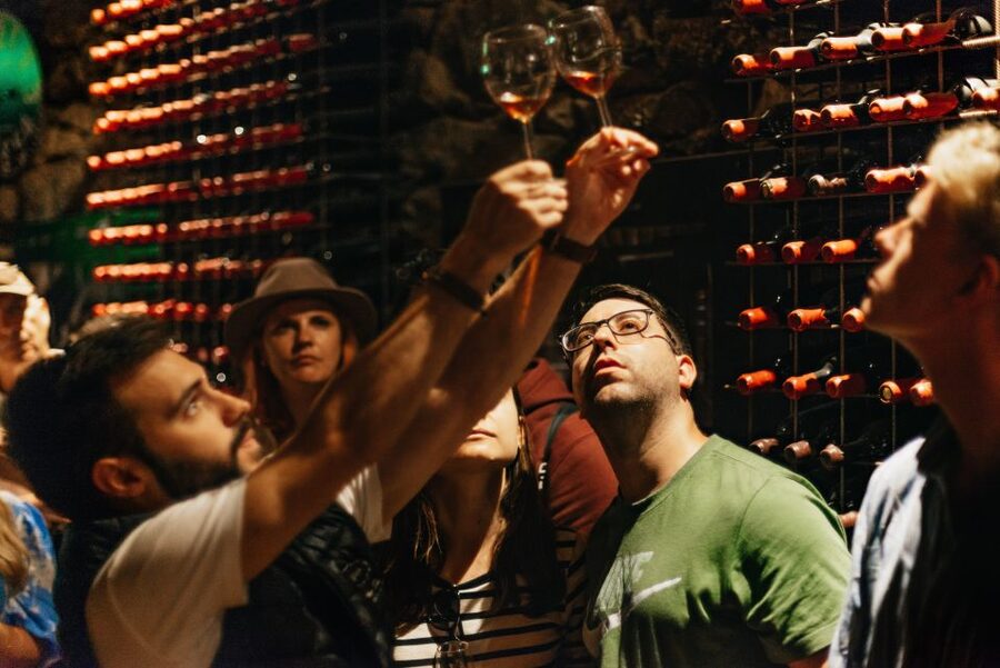 Douro Valley: Wine Tour with Lunch, Tastings & River Cruise - The N222 ride home is part of the tour