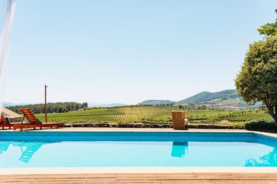 Douro Valley: Wine Tour with Lunch, Tastings & River Cruise - Guides can shape the entire experience