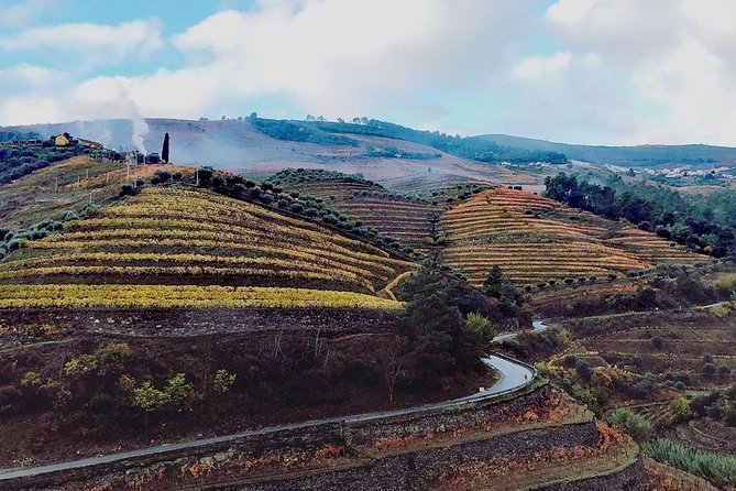 Douro Valley with Two Winery, Boat Trip and Lunch From Porto - The five details that matter most