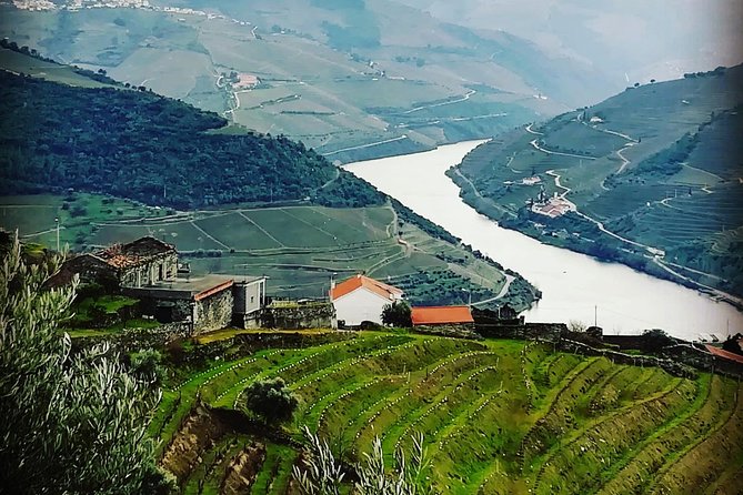 Douro Valley with Two Winery, Boat Trip and Lunch From Porto - Why this Douro day works so well from Porto