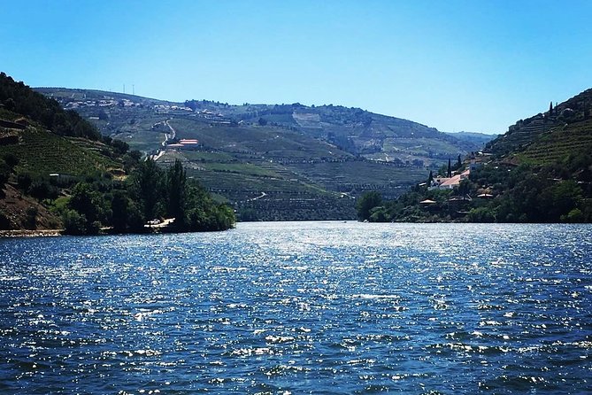 Douro Valley with Two Winery, Boat Trip and Lunch From Porto - Quinta do Seixo and the Sandeman introduction