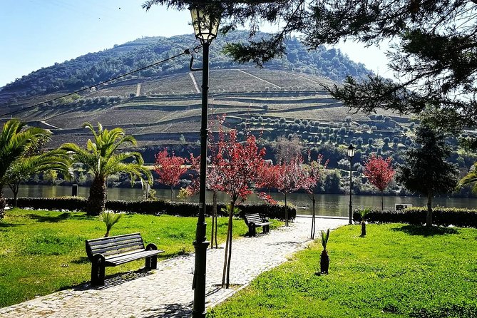 Douro Valley with Two Winery, Boat Trip and Lunch From Porto - The long return to Porto
