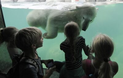 Emmen: Wildlands Adventure Zoo and Rimbula River Boat Ride
