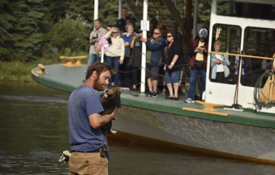 Fairbanks: Riverboat Cruise and Local Village Tour - Watch a bush plane work at close range