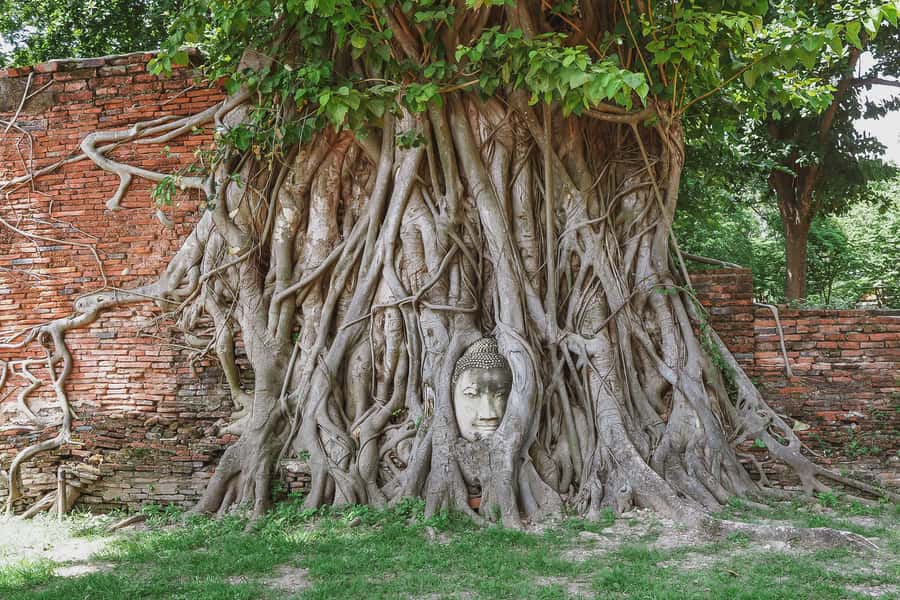 From Bangkok: Ayutthaya Day Tour by Bus with River Cruise - Starting early at River City Bangkok