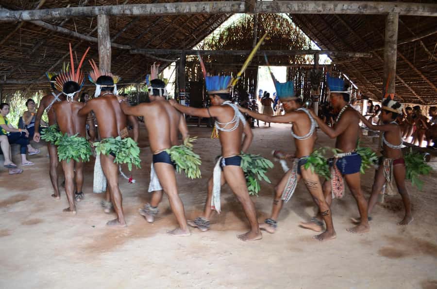 From Manaus: 3 or 4-Day Rio Negro & Anavilhanas River Cruise - Who should book this Amazon cruise?
