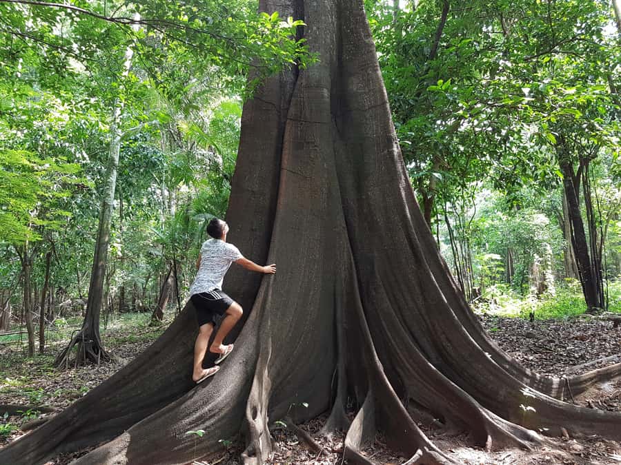 From Manaus: 3 or 4-Day Rio Negro & Anavilhanas River Cruise - What sleeping aboard is really like