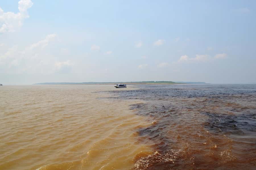 From Manaus: 3 or 4-Day Rio Negro & Anavilhanas River Cruise - Food, guiding, and the human side of the trip