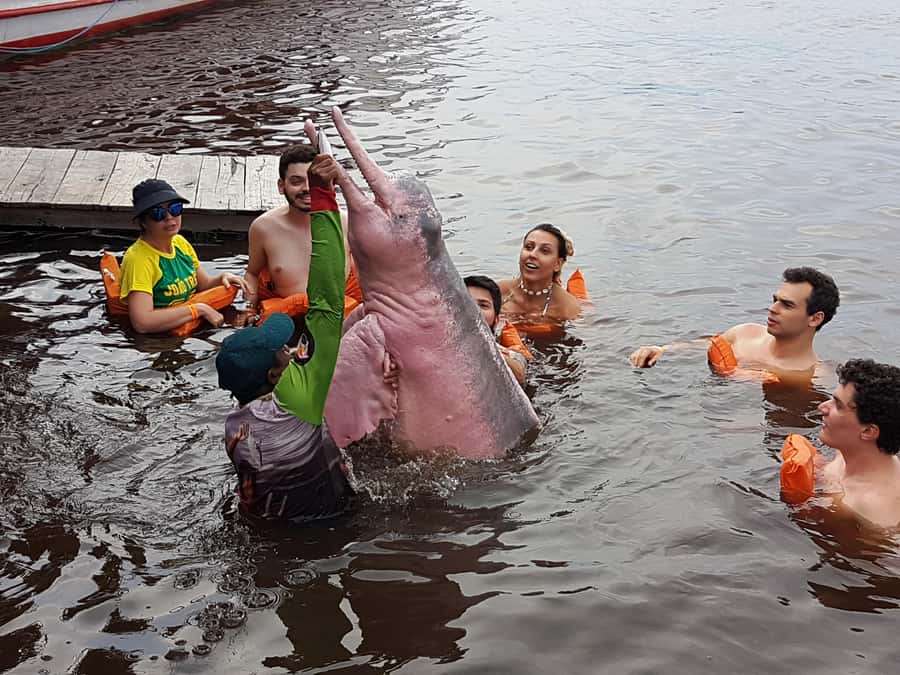 From Manaus: 3 or 4-Day Rio Negro & Anavilhanas River Cruise - Is $600 good value?