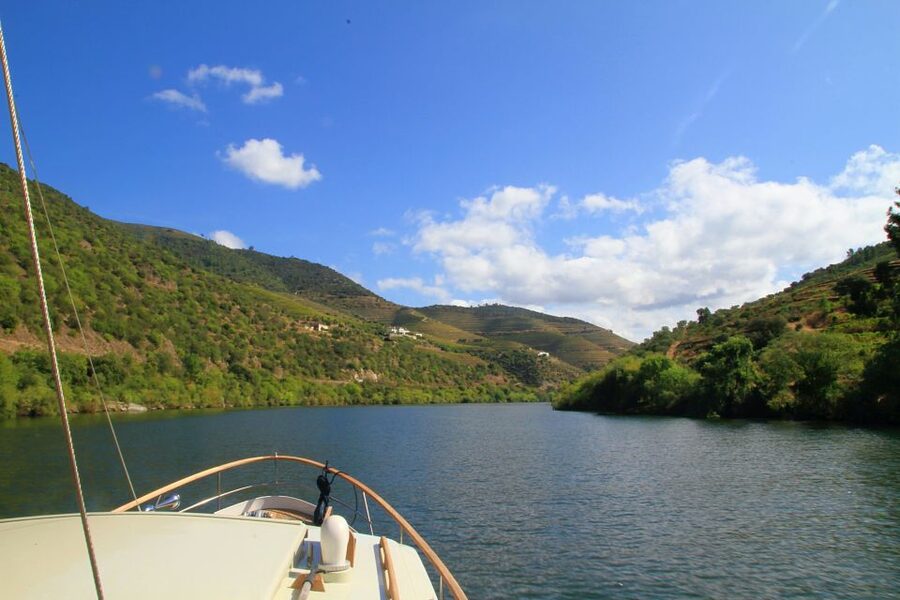 From Pinhão: Private Yacht Cruise along the Douro River - Is $82 per person good value?