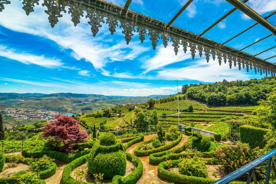 From Porto: Douro Valley w/ Boat Tour, Wine Tasting & Lunch - Guides, drivers, and group atmosphere