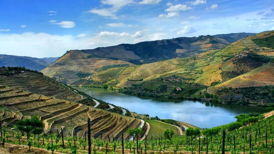 From Porto: Régua to Porto River Cruise with Lunch on Board - Key Points at a Glance