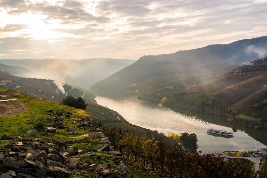 From Porto: Régua to Porto River Cruise with Lunch on Board - The Terraced Vineyards of the Douro