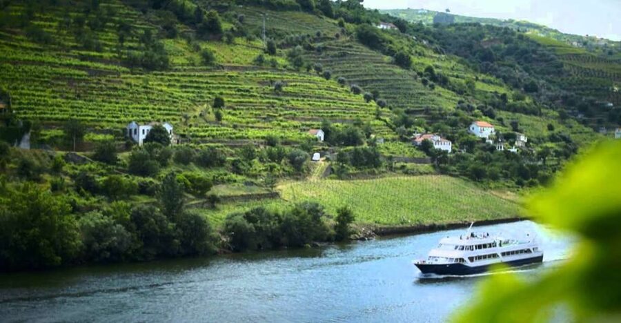 From Porto: Régua to Porto River Cruise with Lunch on Board - The Final Approach to Porto