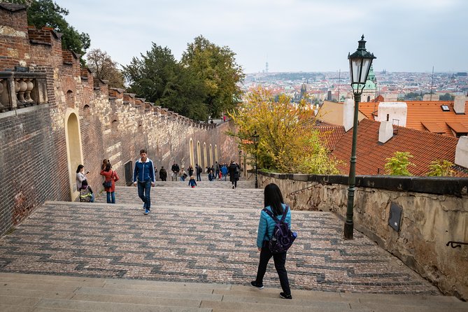 Full-Day Prague Tour with Prague Castle, Lunch and Vltava Cruise - A three-course Czech lunch