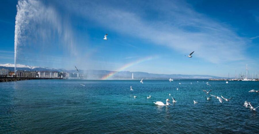Geneva: Scenic Lake Cruise with Snacks and Wine - Why a short cruise works so well in Geneva