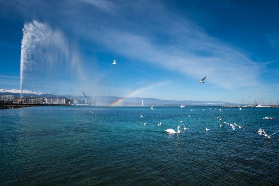 Geneva: Scenic Lake Cruise with Snacks and Wine - Wine, cheese, and the right expectations