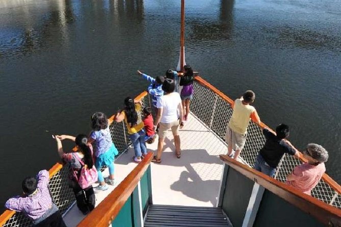 Hudson River Sightseeing Cruise from Albany - Eagles, Egrets, and the Value of Binoculars