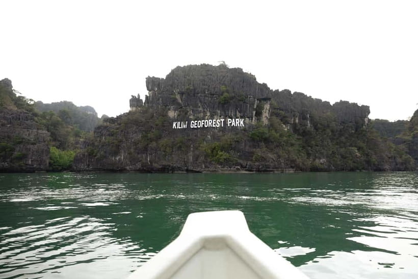 Langkawi: Mangrove River Cruise Sharing 3 Hours - Monkeys along the riverbank