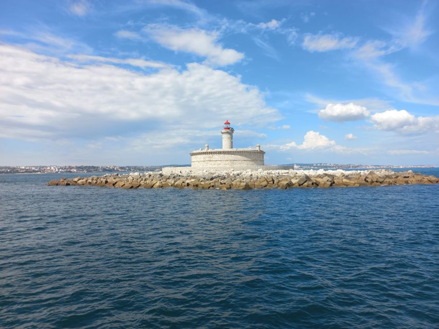Lisbon: Tagus River Cruise to the Ocean & Dolphin Watching - Boat types, comfort, and sea conditions