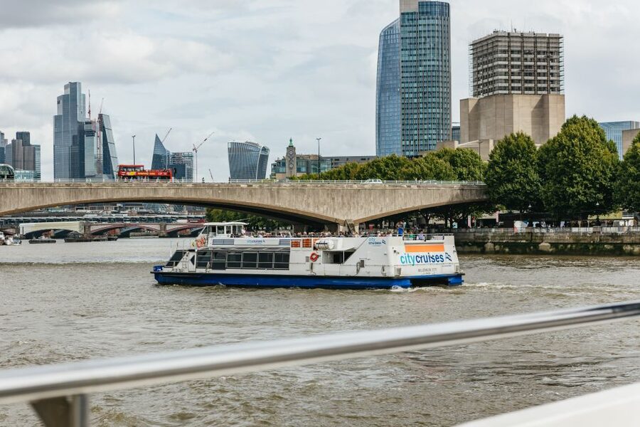 London: London Eye, River Cruise, & Hop-on Hop-off Bus Tour - Accessibility, comfort, and practical limits
