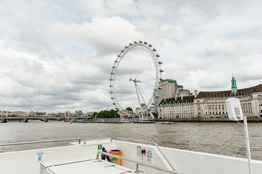 London: London Eye, River Cruise, & Hop-on Hop-off Bus Tour - Buckingham Palace and the Royal Walk