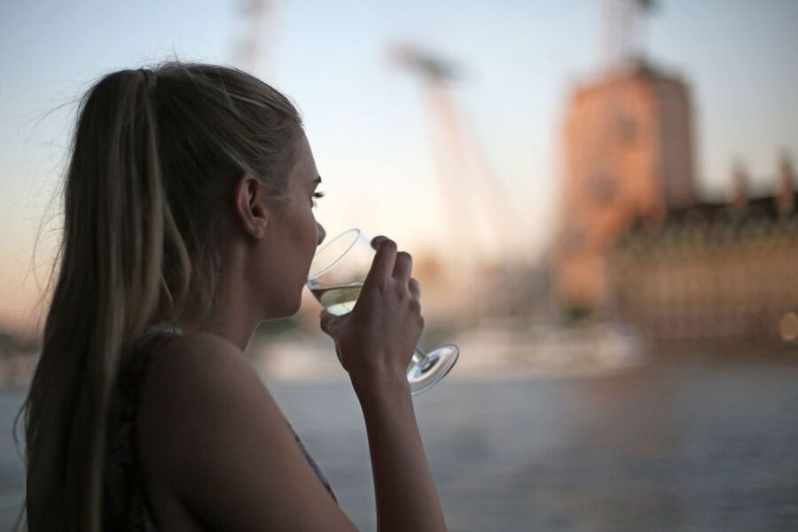 London: River Thames Evening Cruise with Bubbly and Canapés - Bubbly, canapés, and the onboard atmosphere
