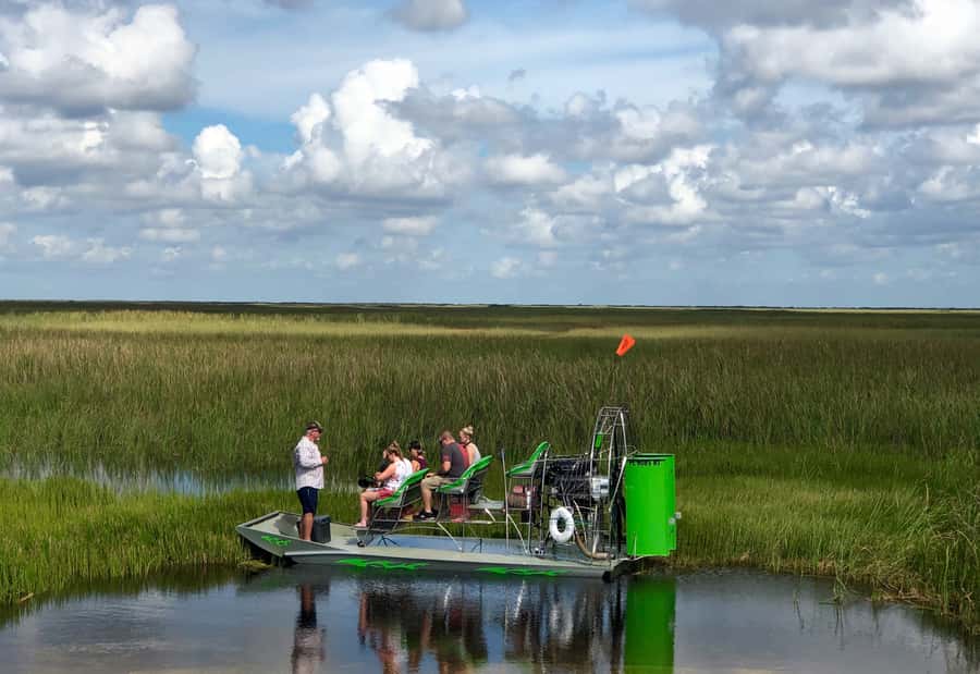 Miami: Everglades River of Grass Small Airboat Wildlife Tour - Who should book this airboat tour?