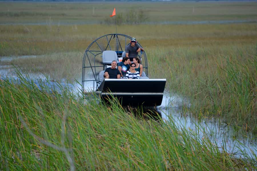 Miami: Everglades River of Grass Small Airboat Wildlife Tour - Why this Everglades trip feels different