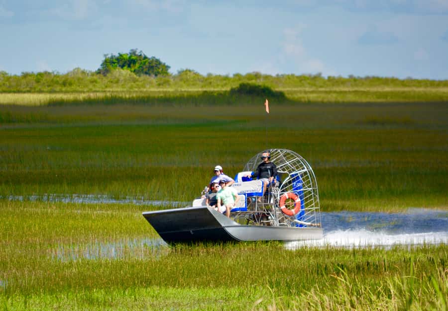 Miami: Everglades River of Grass Small Airboat Wildlife Tour - Wildlife stops across the River of Grass