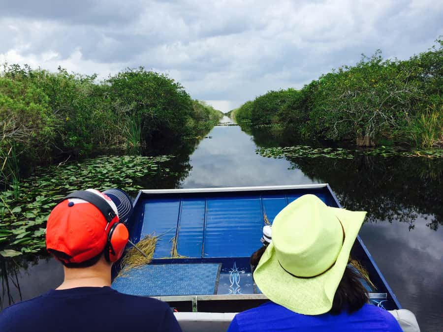 Miami: Everglades River of Grass Small Airboat Wildlife Tour - Learning the Everglades beyond alligators