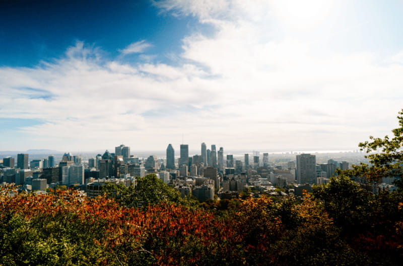 Montreal: Small Group Tour with River Cruise and Notre Dame - What the six-hour schedule feels like