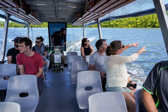 Morning Daintree Tour with River Cruise from Port Douglas - The Daintree River cruise and the search for crocodiles