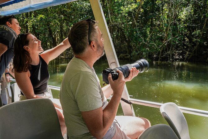 Morning Daintree Tour with River Cruise from Port Douglas - The guides make a real difference